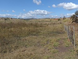 SÍTIO LOCALIZADO AO LADO CONDOMÍNIO ORIZONTE FAZENDAS