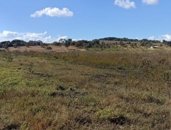 SÍTIO LOCALIZADO AO LADO CONDOMÍNIO ORIZONTE FAZENDAS