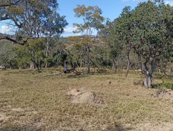 SÍTIO LOCALIZADO AO LADO CONDOMÍNIO ORIZONTE FAZENDAS