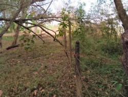 CHÁCARA NA PONTE DE TÁBUA-PENHAS