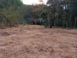 CHÁCARA NA PONTE DE TÁBUA-PENHAS