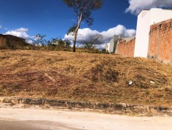 EXCELENTE LOTE NO CORES DE MINAS