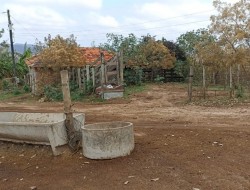 FAZENDA EM CAETANO PRETO