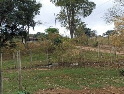 FAZENDA EM CAETANO PRETO