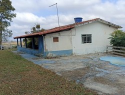 FAZENDA EM CAETANO PRETO