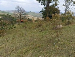 FAZENDA EM CAETANO PRETO