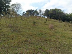 FAZENDA EM CAETANO PRETO