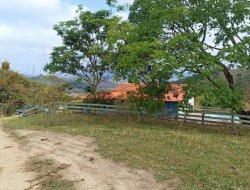 FAZENDA EM CAETANO PRETO