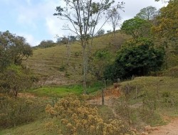 FAZENDA EM CAETANO PRETO
