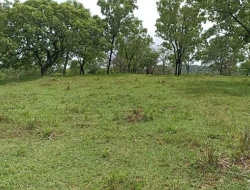 FAZENDA 30 HECTARES EM PEQUI