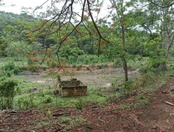 FAZENDA 30 HECTARES EM PEQUI