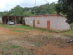 FAZENDA 30 HECTARES EM PEQUI