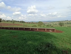 FAZENDA DE 18 HECTARES , PEQUI M.G.