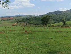 FAZENDA DE 18 HECTARES , PEQUI M.G.