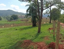 FAZENDA DE 18 HECTARES , PEQUI M.G.