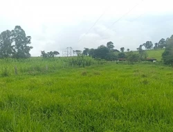 FAZENDA EM CARNEIROS