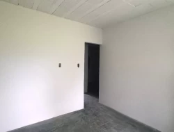 FAZENDA EM CARNEIROS