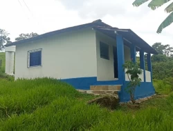 FAZENDA EM CARNEIROS