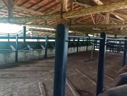 FAZENDA EM CARNEIROS