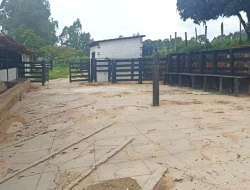 FAZENDA EM CARNEIROS