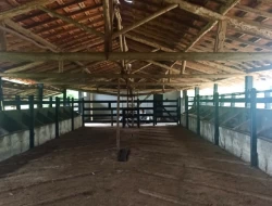FAZENDA EM CARNEIROS