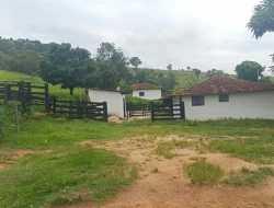FAZENDA EM CARNEIROS