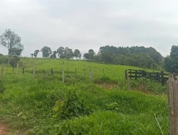 FAZENDA EM CARNEIROS