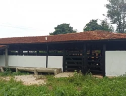 FAZENDA EM CARNEIROS