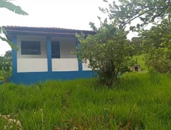 FAZENDA EM CARNEIROS