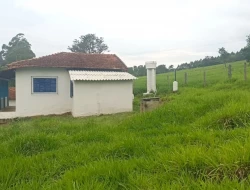 FAZENDA EM CARNEIROS