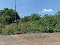 LOTE DE 1000M²  NO PARQUE BELA VISTA/ PRÓXIMO DA BR 262