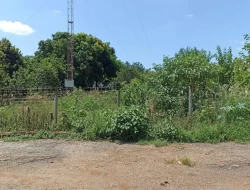 LOTE DE 1000M²  NO PARQUE BELA VISTA/ PRÓXIMO DA BR 262