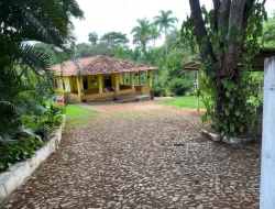 SÍTIO  DE 4 HECTARES- LOCALIZADO PRÓXIMO Á  BR-262 - APENAS 18 KM DO TREVO DE PARÁ DE MINAS.