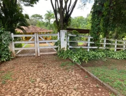 SÍTIO  DE 4 HECTARES- LOCALIZADO PRÓXIMO Á  BR-262 - APENAS 18 KM DO TREVO DE PARÁ DE MINAS.