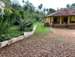 SÍTIO  DE 4 HECTARES- LOCALIZADO PRÓXIMO Á  BR-262 - APENAS 18 KM DO TREVO DE PARÁ DE MINAS.