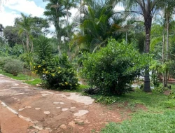 SÍTIO  DE 4 HECTARES- LOCALIZADO PRÓXIMO Á  BR-262 - APENAS 18 KM DO TREVO DE PARÁ DE MINAS.