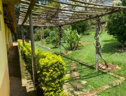 SÍTIO  DE 4 HECTARES- LOCALIZADO PRÓXIMO Á  BR-262 - APENAS 18 KM DO TREVO DE PARÁ DE MINAS.