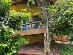 SÍTIO  DE 4 HECTARES- LOCALIZADO PRÓXIMO Á  BR-262 - APENAS 18 KM DO TREVO DE PARÁ DE MINAS.