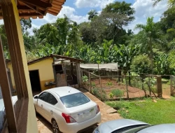 SÍTIO  DE 4 HECTARES- LOCALIZADO PRÓXIMO Á  BR-262 - APENAS 18 KM DO TREVO DE PARÁ DE MINAS.
