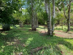 SÍTIO  DE 4 HECTARES- LOCALIZADO PRÓXIMO Á  BR-262 - APENAS 18 KM DO TREVO DE PARÁ DE MINAS.