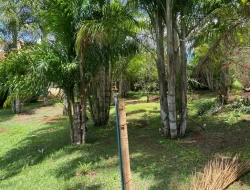 SÍTIO  DE 4 HECTARES- LOCALIZADO PRÓXIMO Á  BR-262 - APENAS 18 KM DO TREVO DE PARÁ DE MINAS.