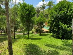 SÍTIO  DE 4 HECTARES- LOCALIZADO PRÓXIMO Á  BR-262 - APENAS 18 KM DO TREVO DE PARÁ DE MINAS.