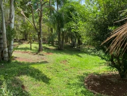 SÍTIO  DE 4 HECTARES- LOCALIZADO PRÓXIMO Á  BR-262 - APENAS 18 KM DO TREVO DE PARÁ DE MINAS.