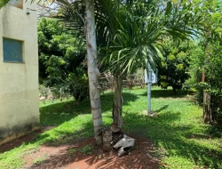 SÍTIO  DE 4 HECTARES- LOCALIZADO PRÓXIMO Á  BR-262 - APENAS 18 KM DO TREVO DE PARÁ DE MINAS.