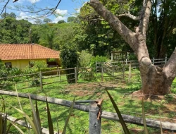 SÍTIO  DE 4 HECTARES- LOCALIZADO PRÓXIMO Á  BR-262 - APENAS 18 KM DO TREVO DE PARÁ DE MINAS.