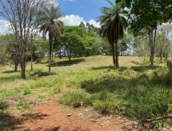 SÍTIO  DE 4 HECTARES- LOCALIZADO PRÓXIMO Á  BR-262 - APENAS 18 KM DO TREVO DE PARÁ DE MINAS.