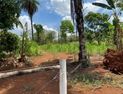 SÍTIO  DE 4 HECTARES- LOCALIZADO PRÓXIMO Á  BR-262 - APENAS 18 KM DO TREVO DE PARÁ DE MINAS.