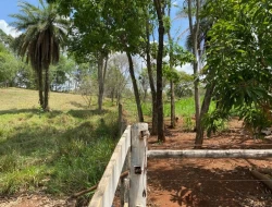 SÍTIO  DE 4 HECTARES- LOCALIZADO PRÓXIMO Á  BR-262 - APENAS 18 KM DO TREVO DE PARÁ DE MINAS.