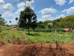 SÍTIO  DE 4 HECTARES- LOCALIZADO PRÓXIMO Á  BR-262 - APENAS 18 KM DO TREVO DE PARÁ DE MINAS.