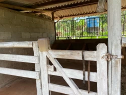 SÍTIO  DE 4 HECTARES- LOCALIZADO PRÓXIMO Á  BR-262 - APENAS 18 KM DO TREVO DE PARÁ DE MINAS.